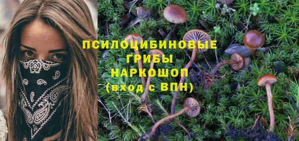 метадон Белоозёрский