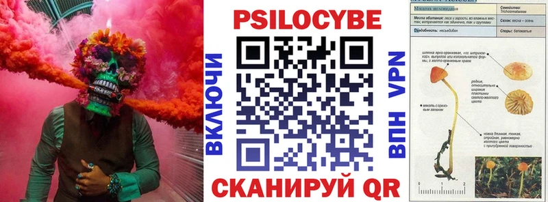 как найти закладки  Вуктыл  Галлюциногенные грибы Psilocybe 